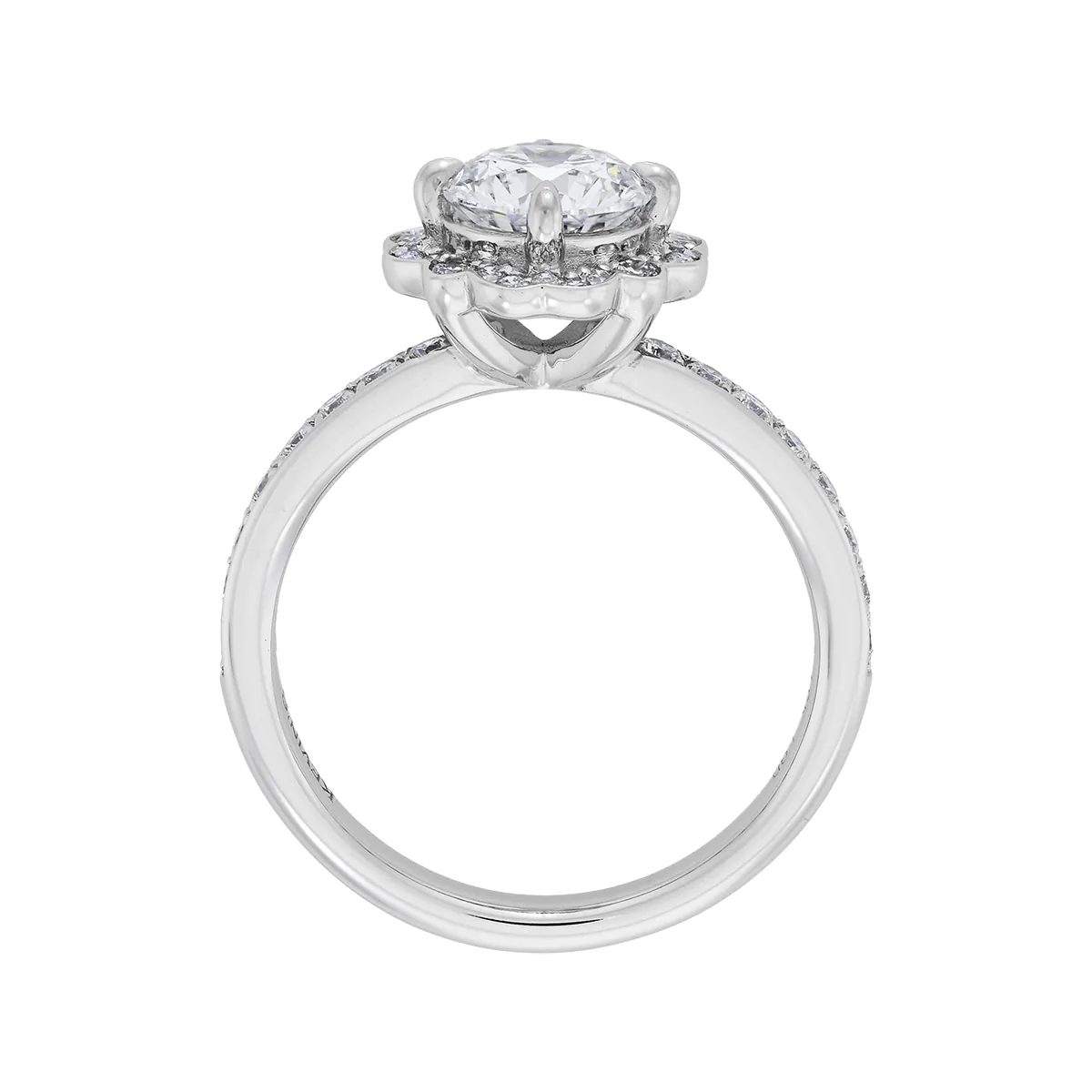 Anillo de compromiso halo redondo, con diamante de laboratorio central redondo de 1.00Ct y decoración en diamantes de laboratorio, oro tono blanco 18k, rodinado