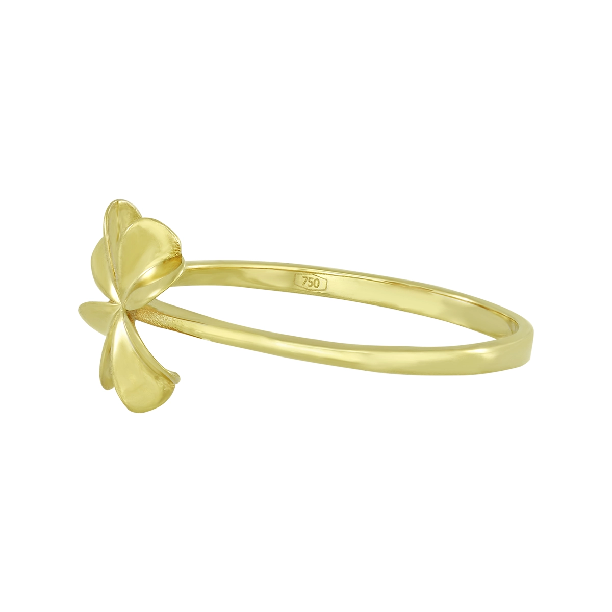 Anillo en oro amarillo de 18 Kilates