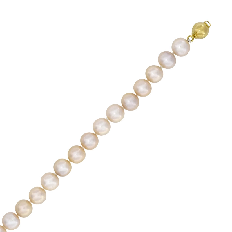 Pulsera con perlas de 8 mm de ancho aprox con broche en oro amarillo de 18 Kilates, 19 cm. de largo