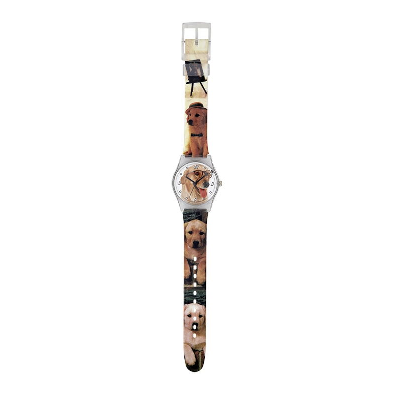 Reloj Reloj university analogo, para Mujer niña, tablero redondo colores verde y azul, estilo arabigos, pulso plastico color blanco