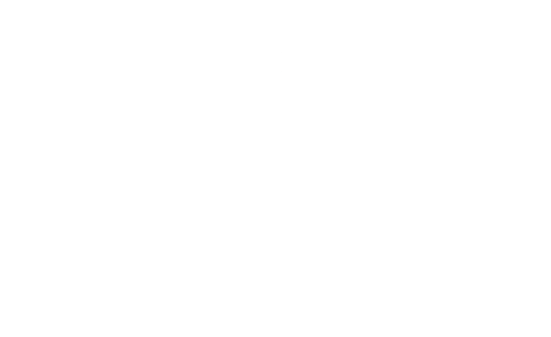Festina — Watches since 1902